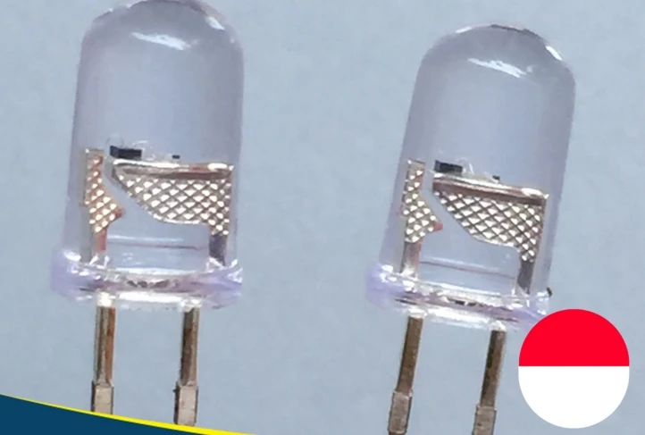 

Biocolor Bicolor Through Hole 5mm red@ white flash led diode for christmas etc
