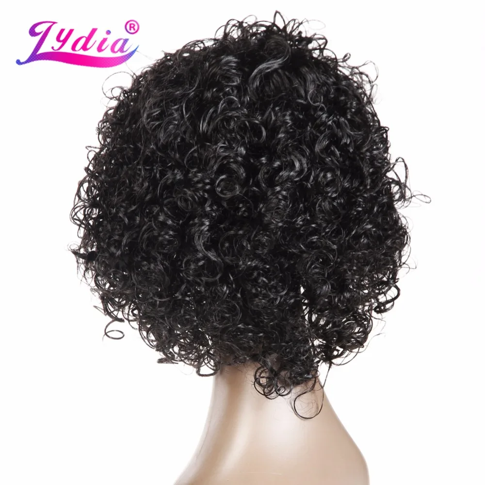 Lydia Afro Curly Synthetic Wigs Short Kanekalon Heat Resistant Wig For African American Women Natural Black & Mix Color
