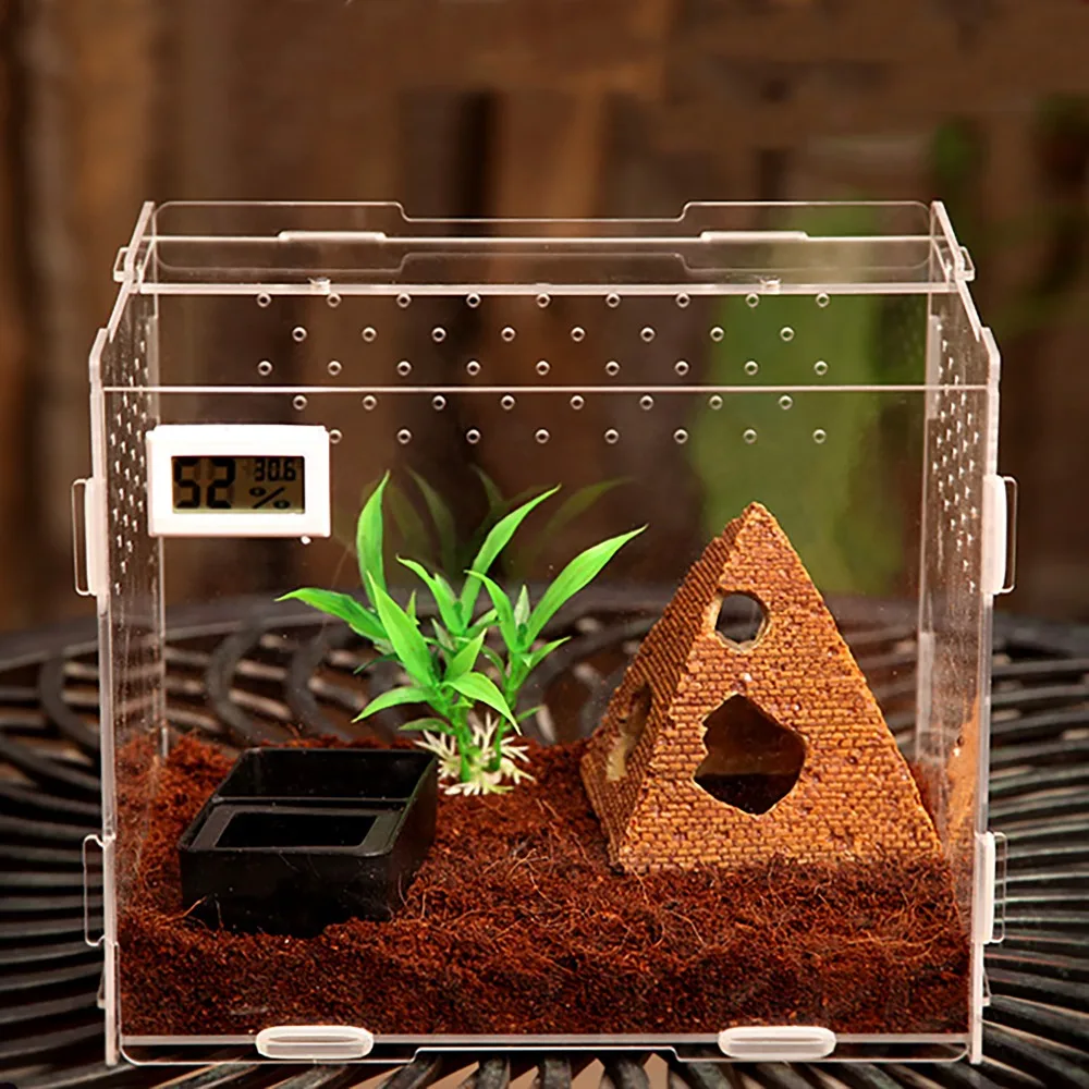 

Reptile Spider Rainforest Scorpion Beetle Leopard Gecko Insect Hermit Crab Lizard Acrylic Rearing Feeding Box kit Magnet Lock