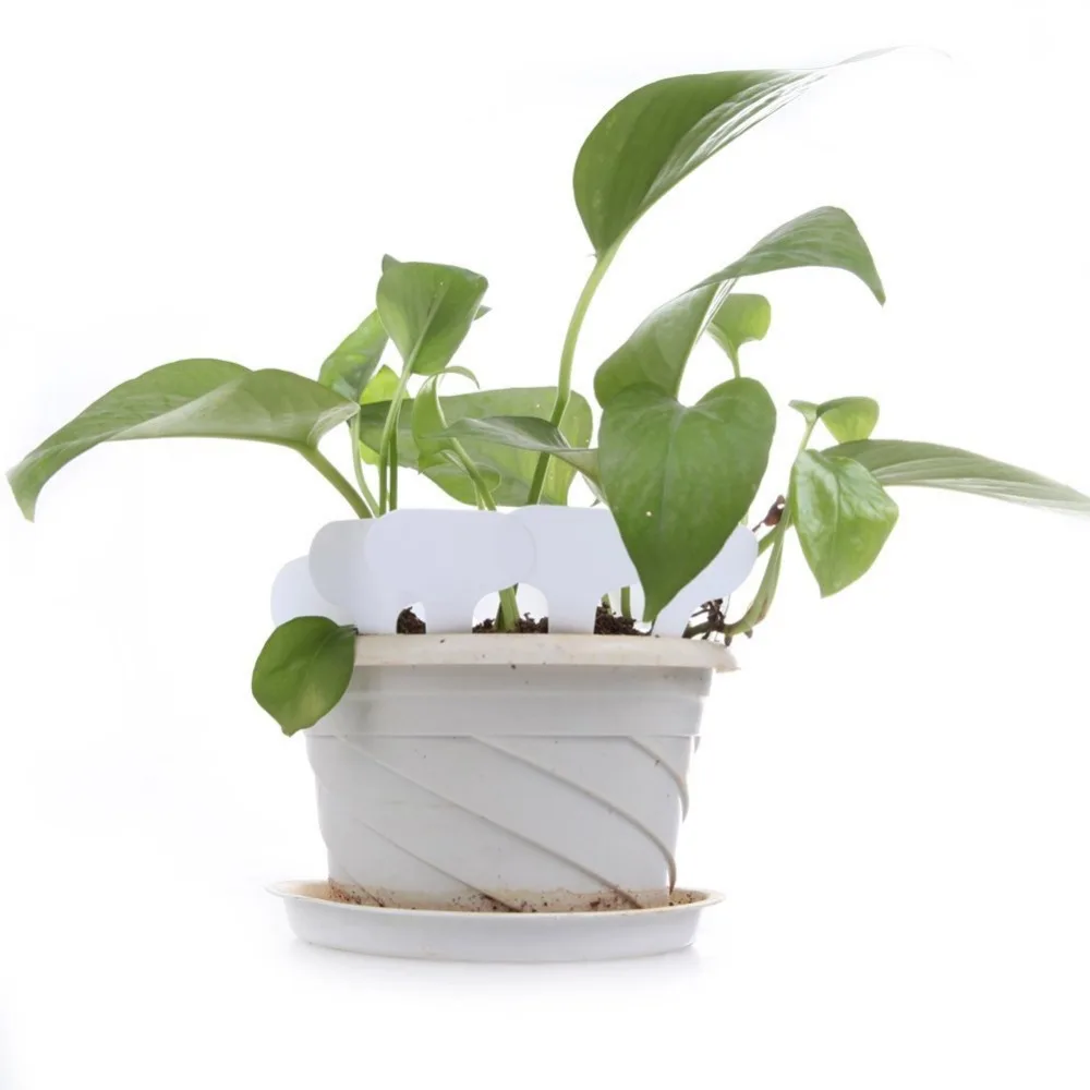 

100 Pcs White Plastic Plant Labels Waterproof T-type Plant Tag Nursery Flower Garden Labels