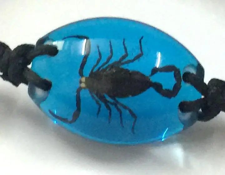 10 браслет Real Black Scorpion Taxidermy в смоле синего цвета|scorpion exo|scorpion rcscorpion tank |