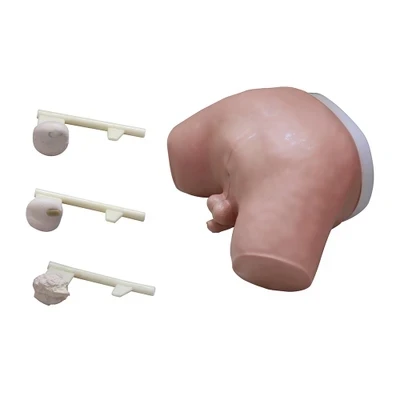 

Prostate Examination Simulator Medical examination exercises clinical diagnostic comprehensive skills training model