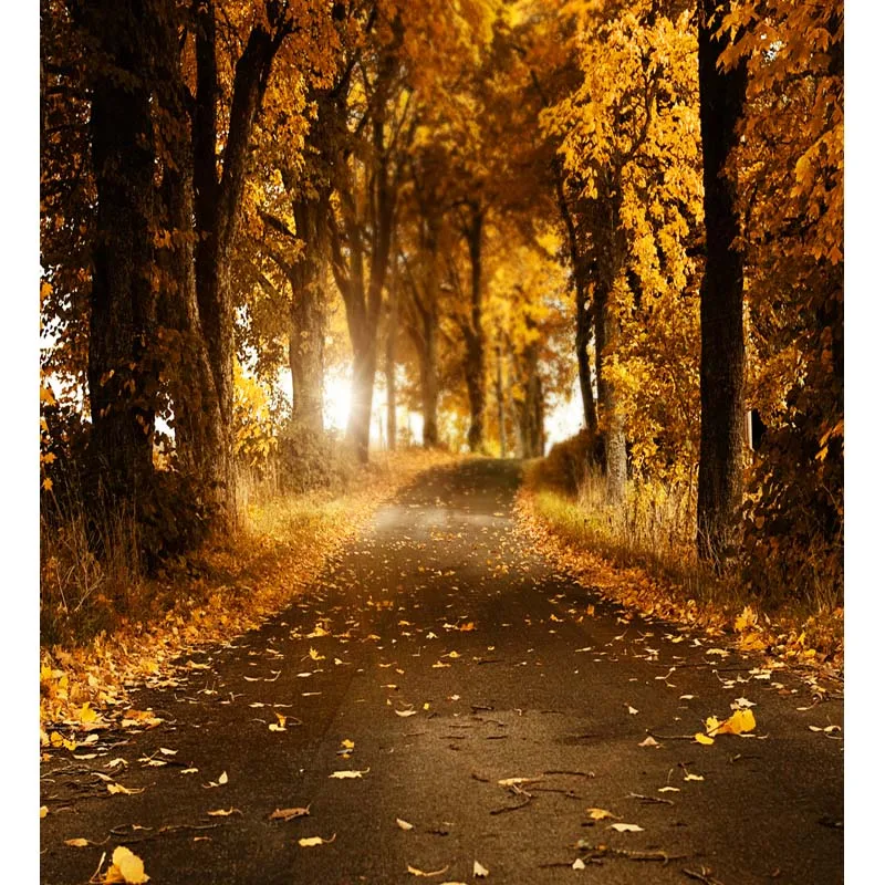 

150*220cm Yellow Autumn season Falling Leaves Woods Photography background for photo studio