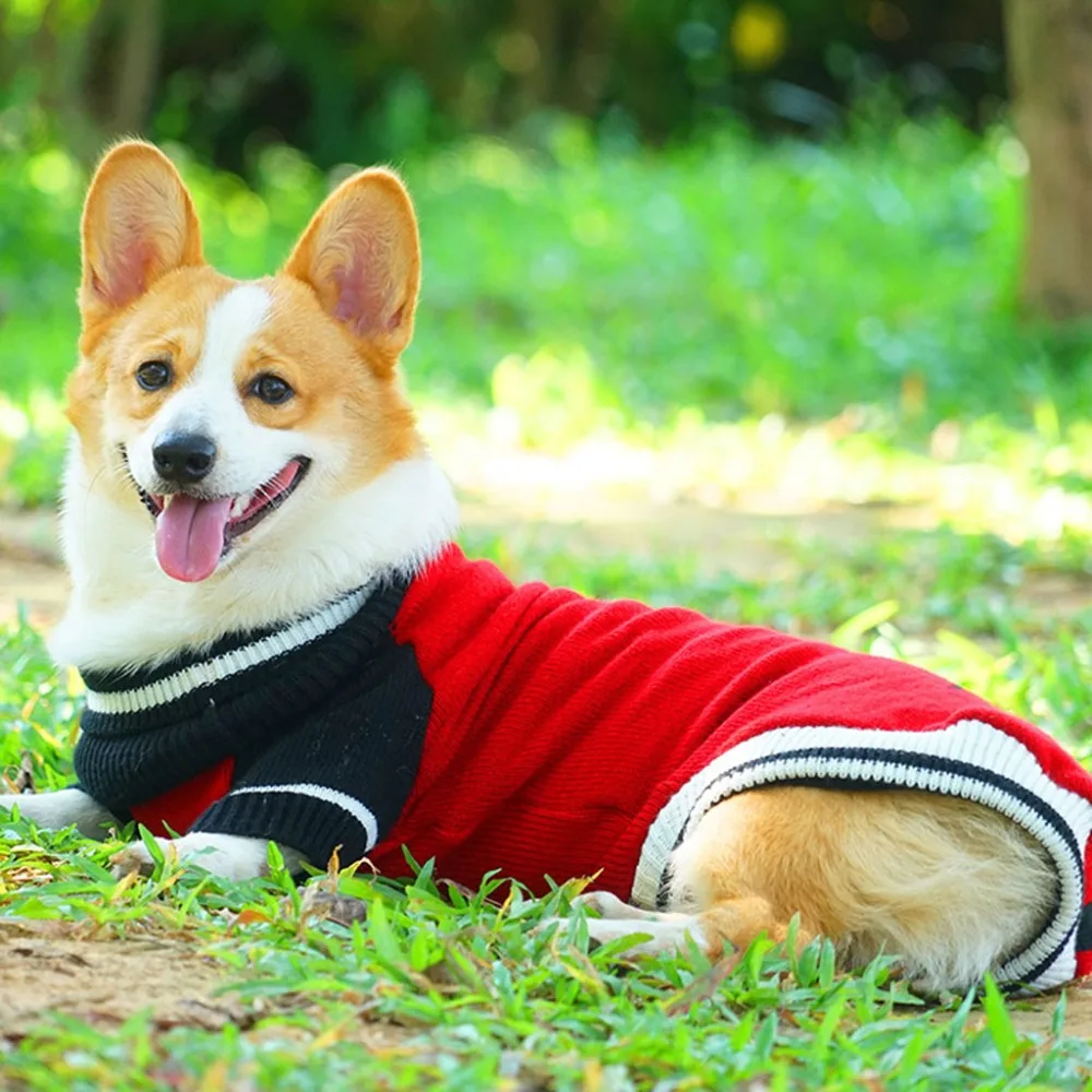 SENYEPETS толстый свитер для домашних животных с высоким воротником теплая одежда