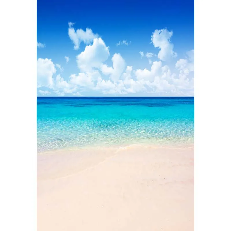 

Thin Vinyl seaside beach backdrop for photo studio outdoor background backdrops F-2634