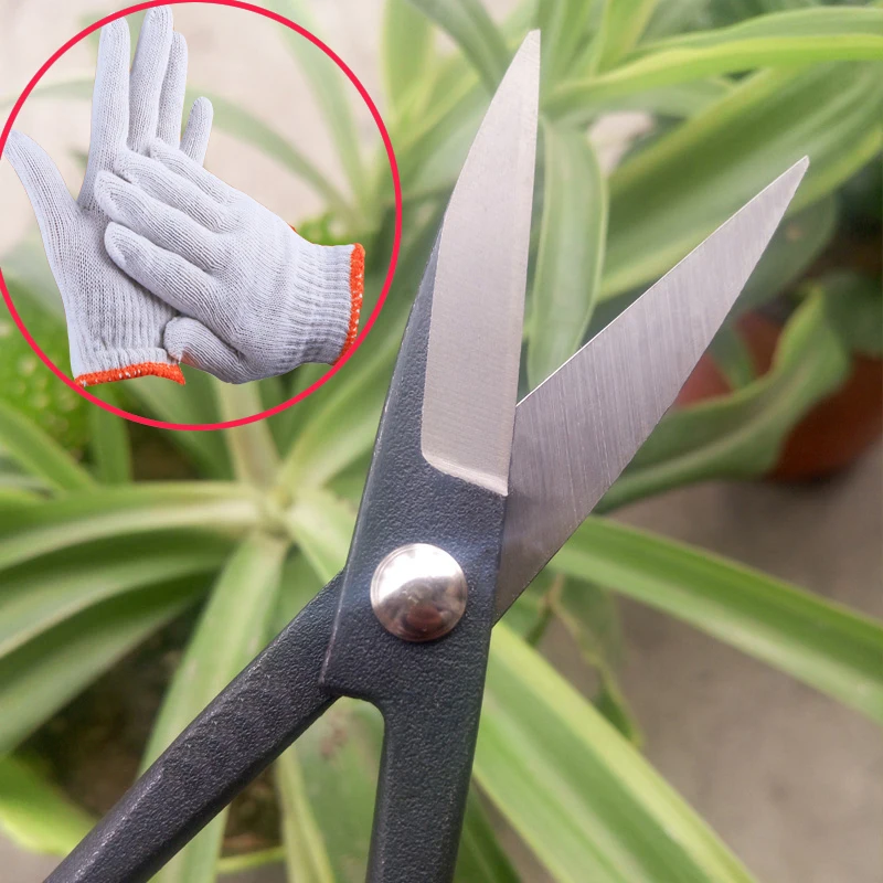 # Новинка 185 мм (7 &quot) бонсай для новичков инструмент длинная ручка в виде ножниц