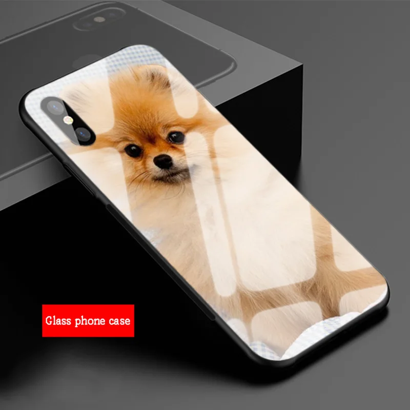 Pomeranian dogs dog Tempered Glass Phone Case For iPhone 6 6plus 7 plus 8 8plus 5 5S 5C SE X XS XR Max | Мобильные телефоны и