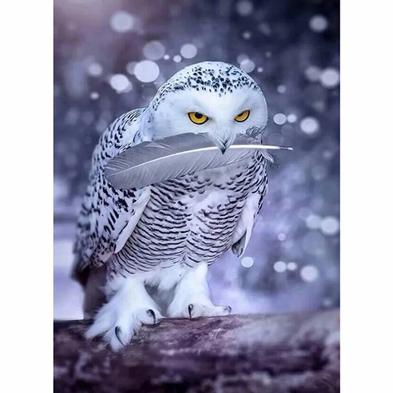 Mondecor Картина Краска на холсте Diy Цифровая масляная краска по номерам Рисование домашнего декора фотографии совы для гостиной стены искусства - Цвет: 982