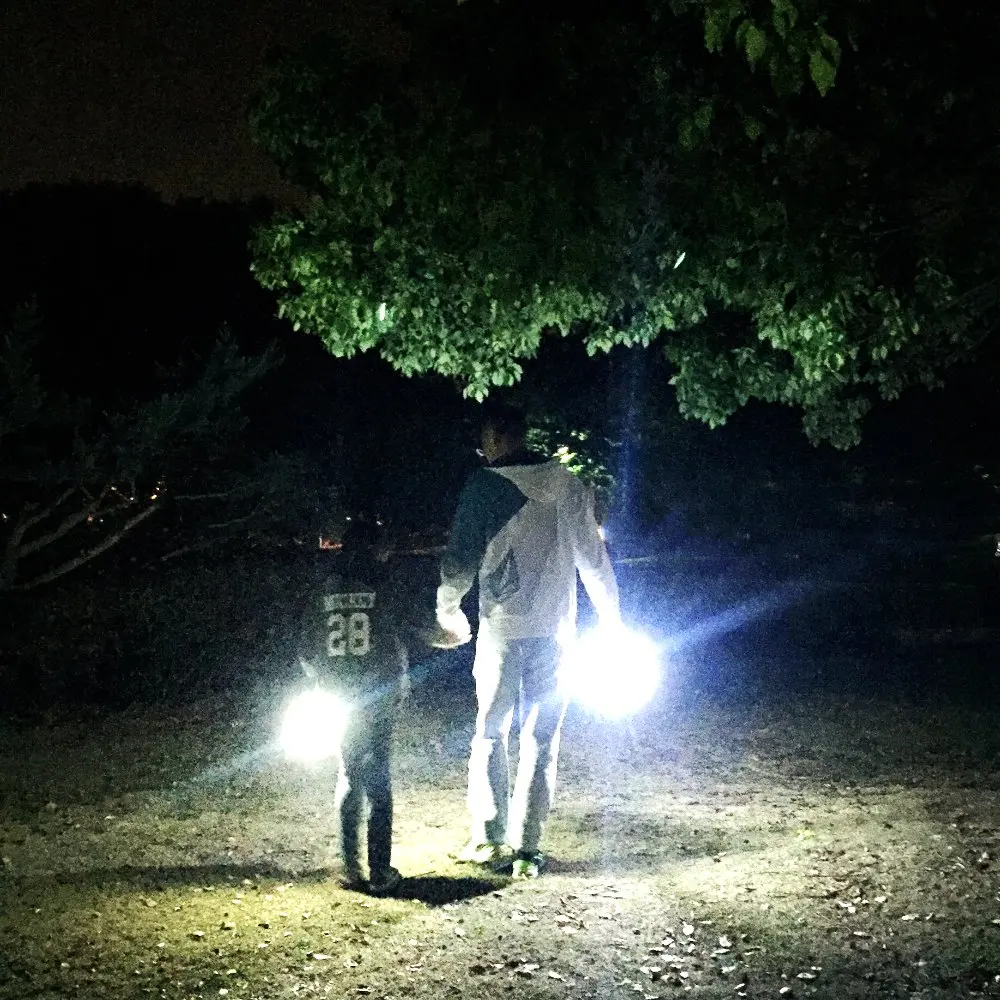 Мини Портативный светодиодный фонарь MINGRAY для кемпинга aaa батарея 9 Вт COB мощный