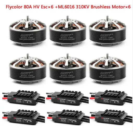 GARTT 6 шт ML 6016 170/310 кв бесщеточный двигатель + Flycolor 80A HV безщеточный ESC для защиты