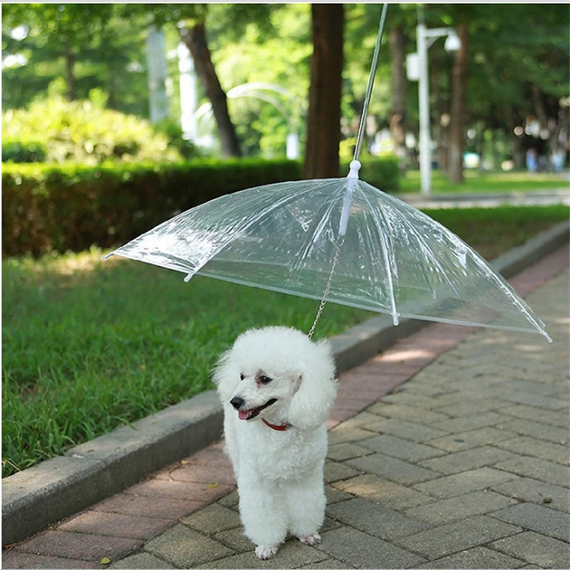 NZBZ. New Style Hot Selling Portable Plastics Transparent Pet Umbrella Built-in Leash Puppy Cat Raincoat |