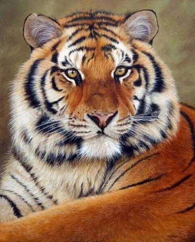 

tiger full diamond embroidery,diamond painting animal,full,5d,diamond painting tiger