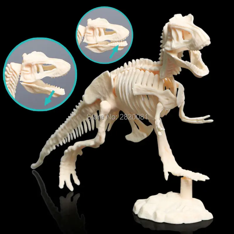 Набор раскопок для детей Novetly набор динозавра из глиняного блока|educational dinosaur
