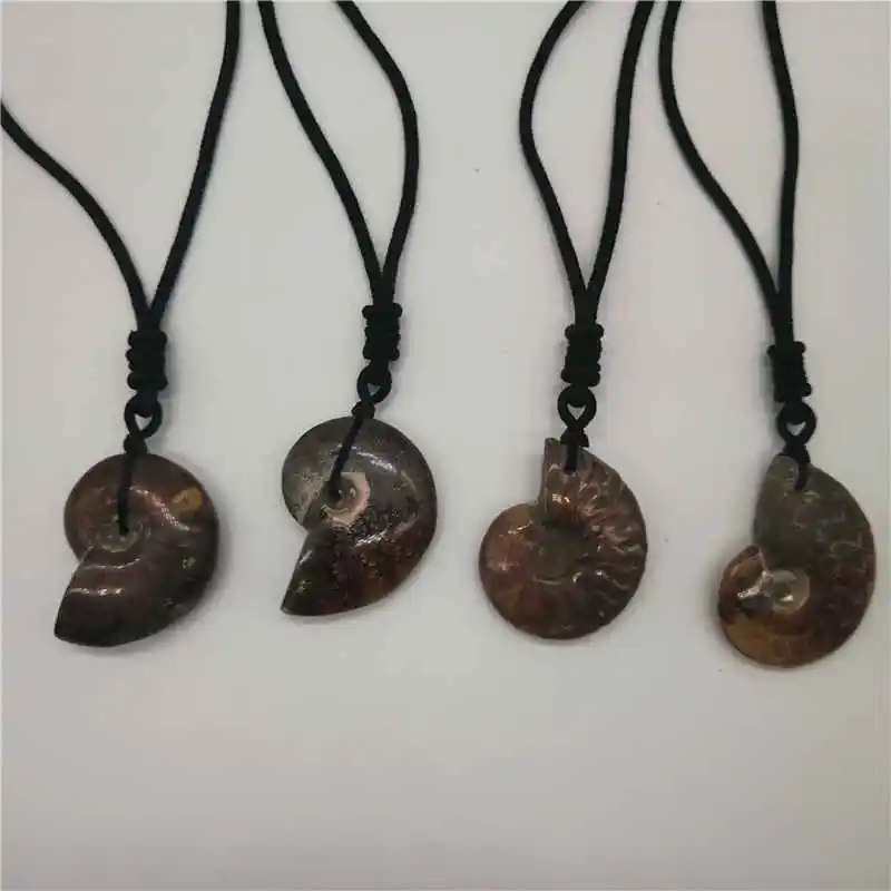 Wholesale 1PC Natural conch pendant snail leaf fossil ammonite hanging piece lucky crystal stone screw transporter | Украшения и