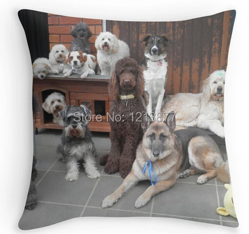 Free Shipping 18&quot x 18&quot(two sides) Best Selling Funny Hold It! Photo Day at Doggy School Custom Rectangle Throw Pillow case | Дом и