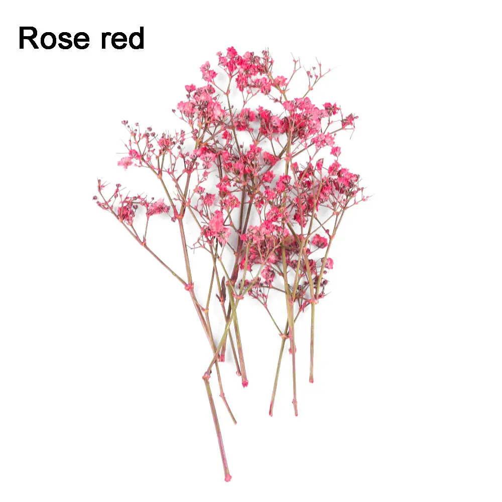 RODE RED 10 шт./пакет смешанные Цвет 3D настоящие сушеные звездное небо, украшенное цветами, для УФ гель для ногтей Советы Инструменты сделай-сам Для женщин моды - Цвет: RODE RED