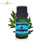 Вики и winson Artemisia argyi эфирное масло 10 мл Absinthium экстракт масла 100% натуральный растительный травяной медицины масла травяное масло VWDF1