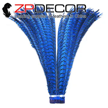 royal blue ZPDECOR 50 шт./лот, разные цвета, хорошее качество, Зебра, перья для девушек, хвост, для карнавала, головной убор, Декор, перья, EMS/DHL - Цвет: royal blue