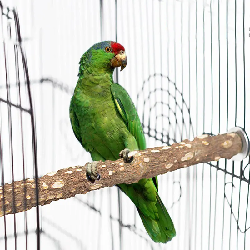 Портативный Parakeet из натурального дерева стоящая палка игрушки для домашних
