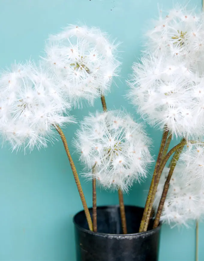 75 см диаметр 12 искусственный одуванчик|artificial outdoor plants and flowers|dandelion blackartificial christmas