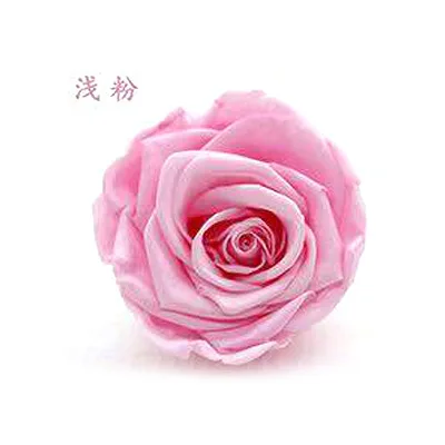 pink YO CHO 8 шт. сохраненные вечные розы головы в коробке Высокое качество сухой Натуральный Свежий цветок навсегда Роза год подарок на день Святого Валентина 5 см - Цвет: pink