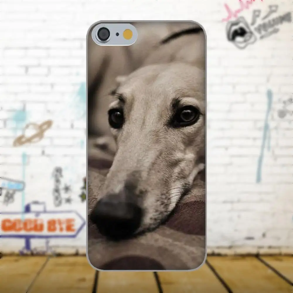 Oedmeb Galgo Greyhound Dog для Apple iPhone X 4 4S 5 5C 5S SE 6 6S 7 8 Plus LG G3 G4 G5 G6 K4 K7 K8 K10 V10 V20|Бамперы| |