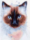 Картина маслом по номерам с голубыми глазами кошки, сделай сам, Картина на холсте с животными для гостиной, настенное искусство, домашний декор