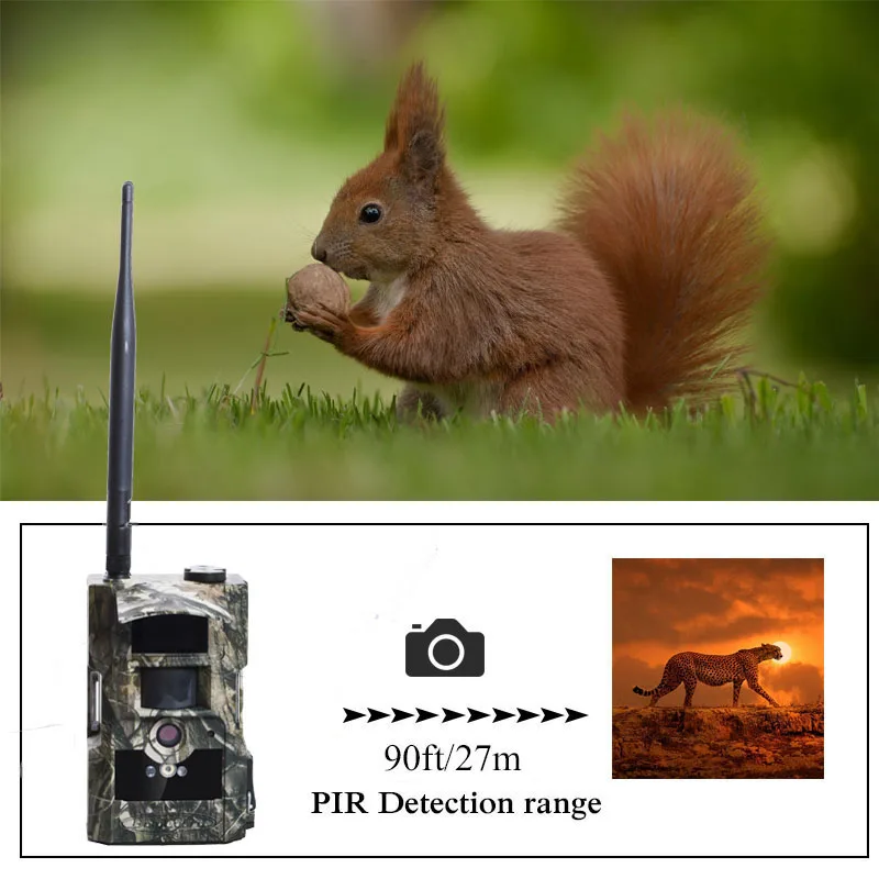 Bolyguard охотничья камера 3g MMS SMS Дикая камера 24 м 1080PHD 90ft PIR ночное видение фото ловушки скаутинг камера fototrappola