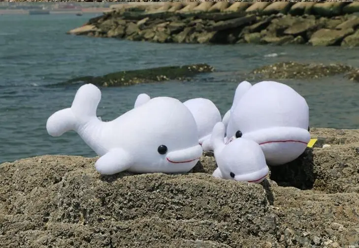 

Marine animal big head white whale plush toy soft throw pillow, birthday gift b4849