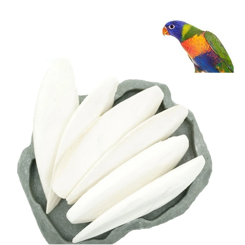 1 Pack Cuttlebone Cuttlefish Sepia Bone Cuttle Fish Bird Food Calcium Pickstone Pet Supplies Parrot Birds Teeth Grind Training