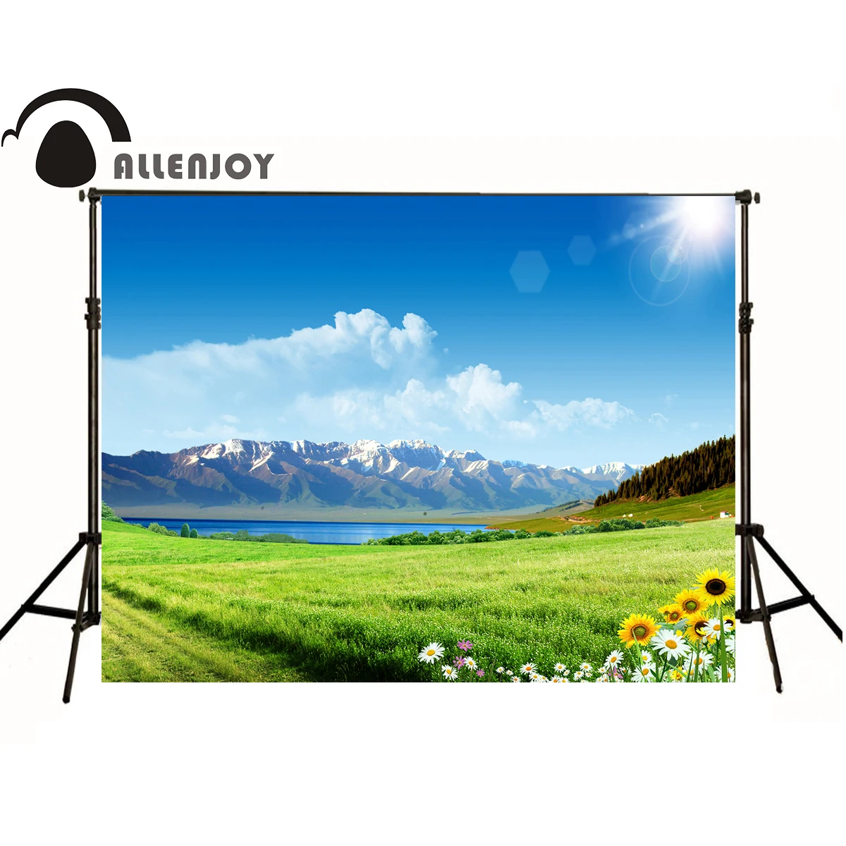 Allenjoy фон для фотосъемки прерий снежные горы белые облака ромашки Рождественские