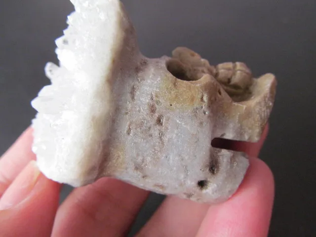 71g Unique Natural White Crystal Cluster Carved Skull Mineral Healing Reiki Druse Vug Specimen Fengshui Energy Stones | Дом и сад