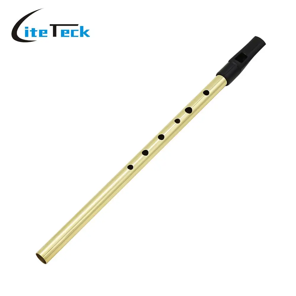 Роскошный традиционный жестяной пенни свисток с 6 отверстиями музыкальный