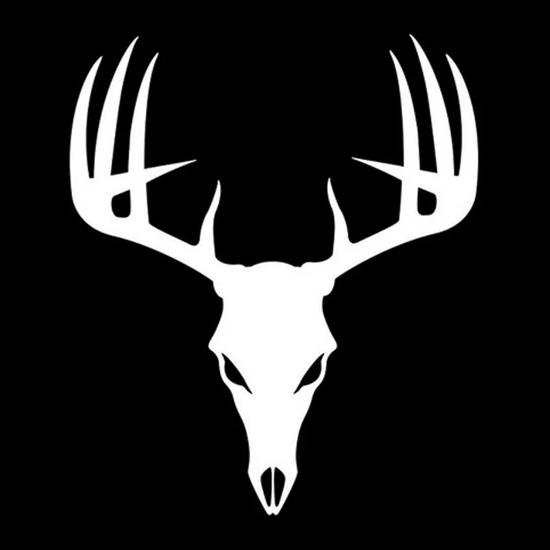 DCTAL Автомобильная охотничья наклейка interesante Hunter Caza codorniz автомобильные наклейки