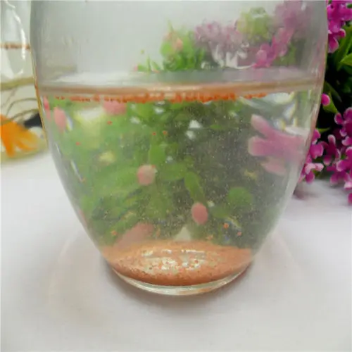 Яйца креветок от рассола Артемия сикты питание для океана рыб 100 г|food|food fishfood shrimp |