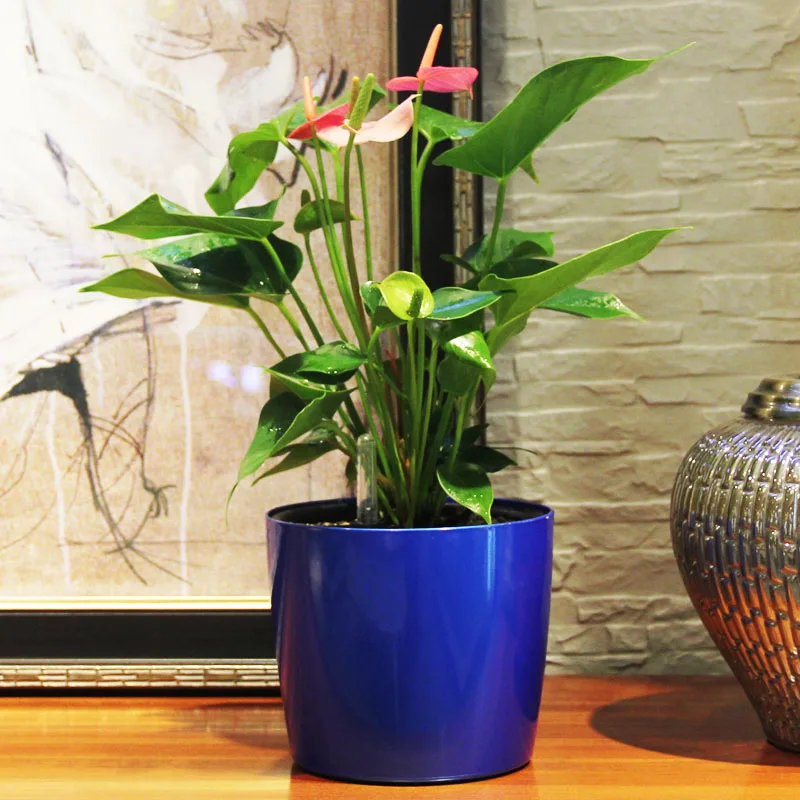 Новые полипропиленовые автоматические кастрюли для полива с наконечниками