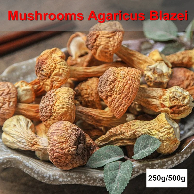 250 г/500 г сушеный гриб Agaricus Blazei органические желтые грибы