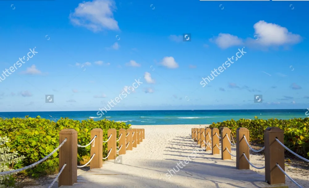 Природные пейзажи обои дорожки известный South Beach 3D фото для гостиная спальня