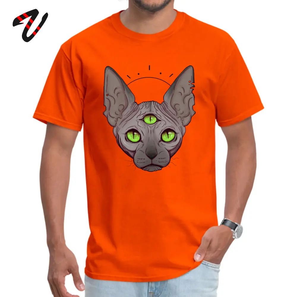 Футболка с рисунком «Три глаза» для мужчин, Cheshire, топы, Sphynx, канадские любительские футболки без волос, большие размеры, Всевидящее Око хлопковая футболка