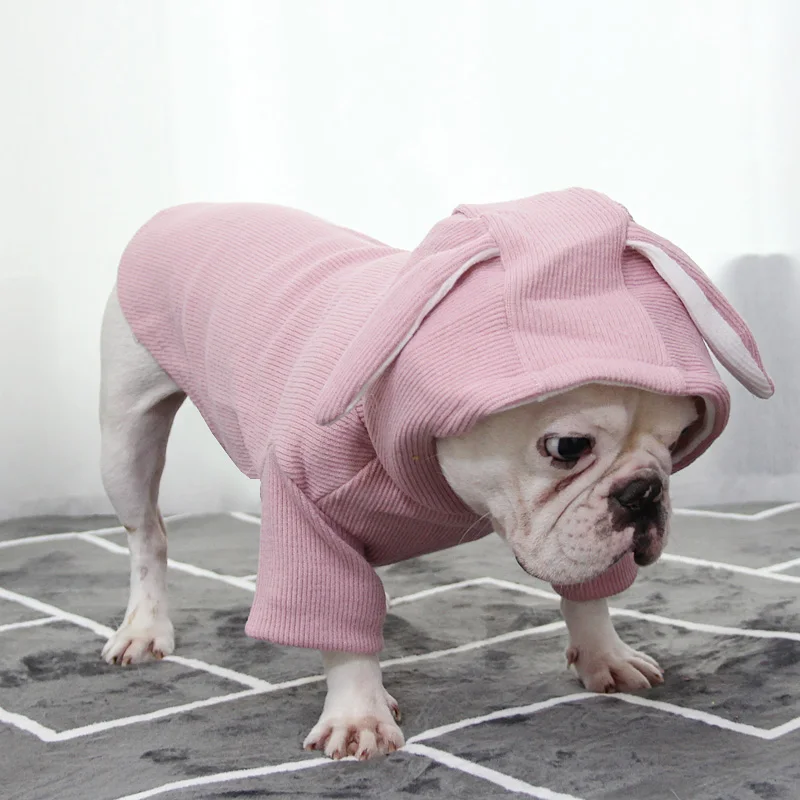 Bigeyedog собачья толстовка с капюшоном Осень зима одежда для собак mascotas ropa perro наряд