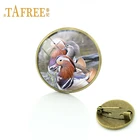 TAFREE винтажная картина в китайском стиле, дикие животные, мандарин, искусственное стекло, кабошон, купол, мандарин, украшения MD20