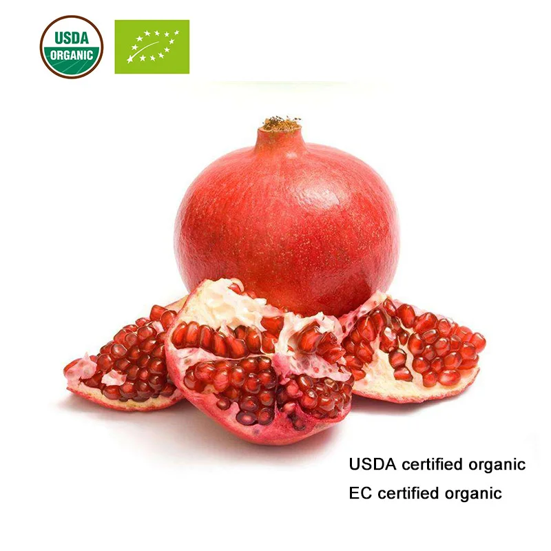 

USDA and EC Certified organic pomegranate juice powder