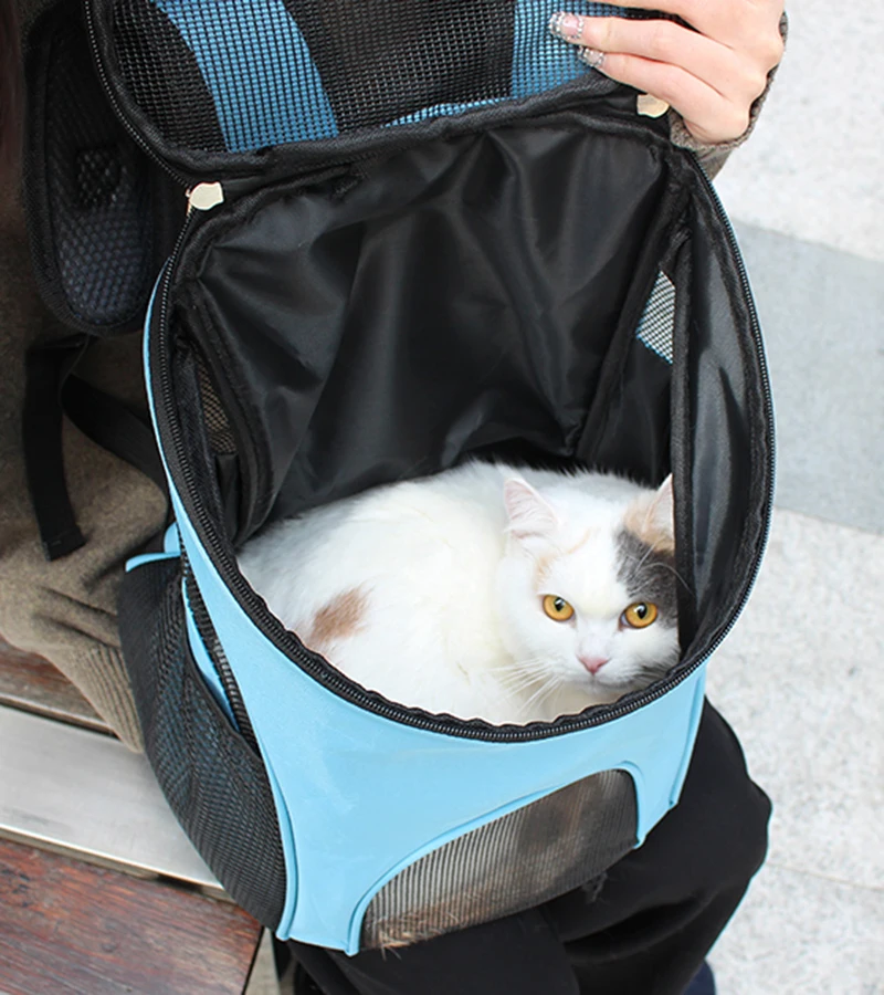 С дышащей сеткой Cat Carrier Рюкзак для кошек для отдыха на открытом воздухе кошка перевозки сумка; товары для домашних животных Mascotas transporte, одежда для девочек с принтом
