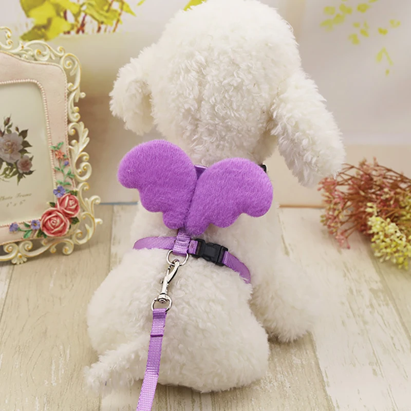 Набор ошейников для милых собак поводок с углами и крыльями маленьких кошек