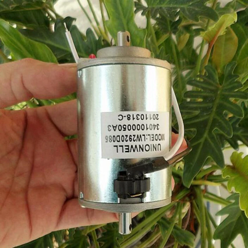 DC120V двойной шарикоподшипник компенсации угольные щетки DC мотор 3800