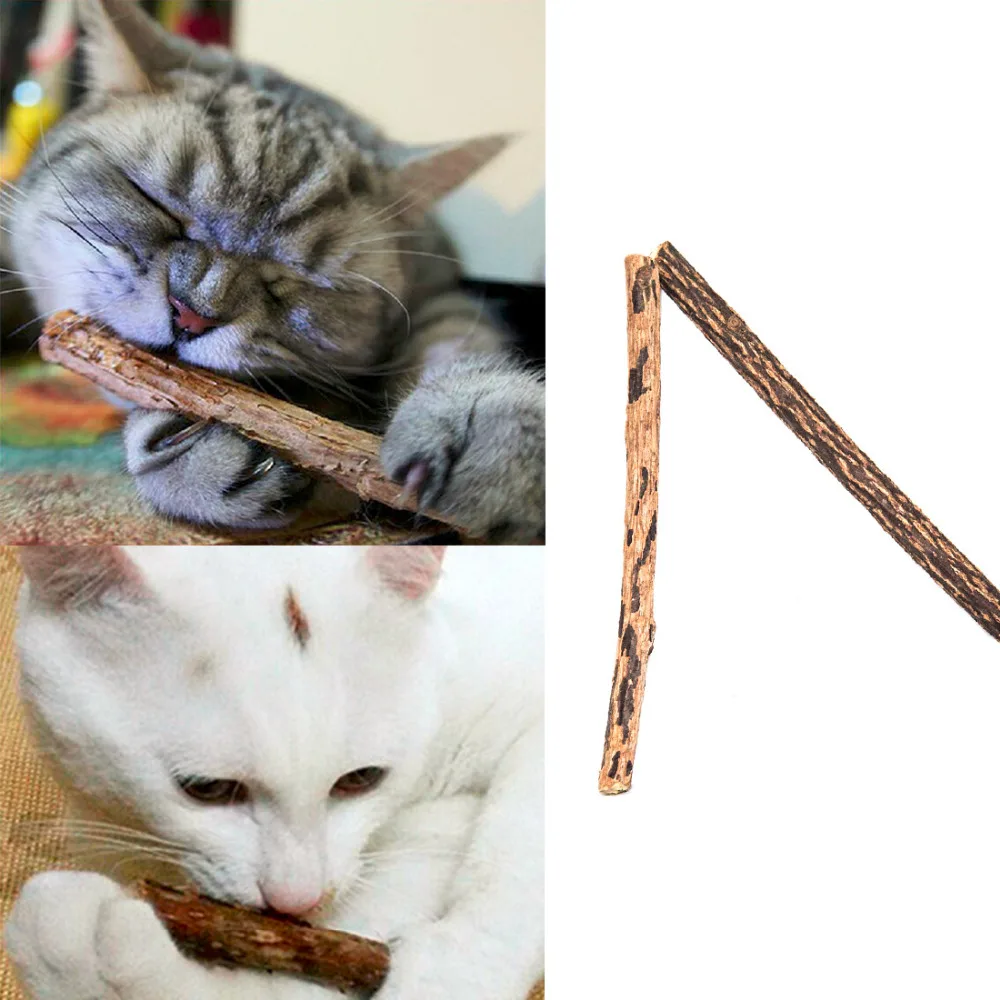 2 шт кошачья Чистка зубы натуральная кошачья мята кошка молярная зубная паста палочка Matatabi плод актинидии Silvervine для кошек снэки палочки
