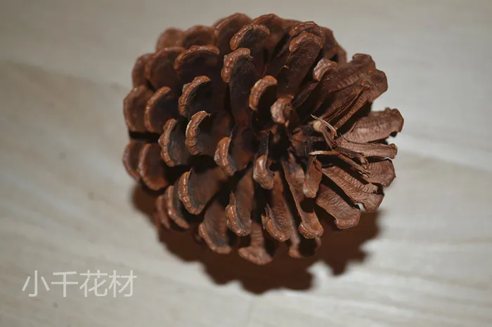 Натуральные сосновые конусы 8 см большие размеры декоративные фотообои цветы