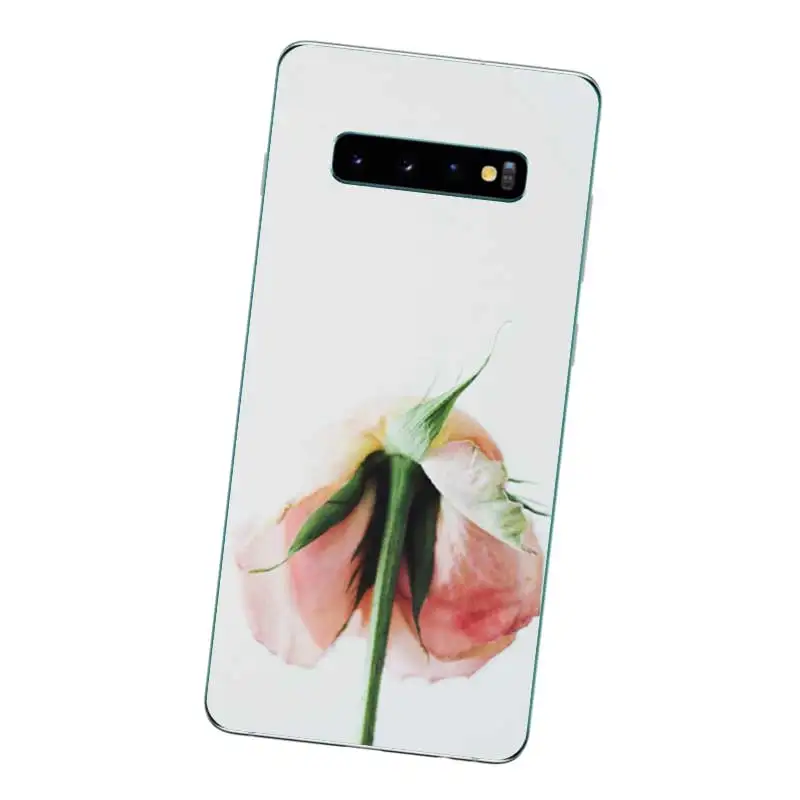 N277 кактус обои Мягкий ТПУ силиконовый чехол для Samsung Galaxy J2 J3 J4 J5 J6 J7 J8 Pro Plus Prime 2018 2017