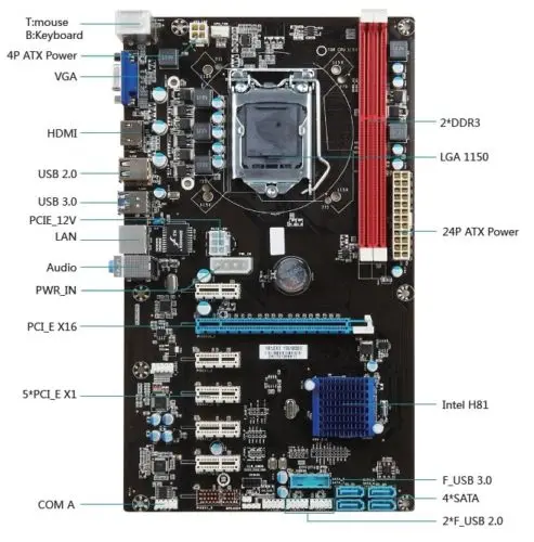 H81-BTC 6 GPU зарядное устройство Майнинг материнская плата с 6 PCI Express Riser Card USB 3,0 PCI-E 16X Express удлинитель Riser 1X To 16x