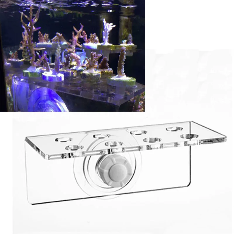 Высококачественная акриловая sps подставка в форме коралла 8 отверстий нано